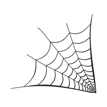 Scary black spider web design on a transparent background. Halloween image of some black spiderwebs. Old scary spider web silhouette with black color. png
