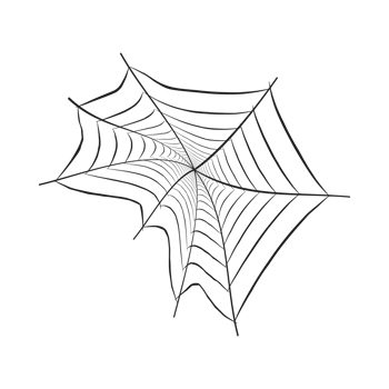Halloween abstract black spider webs PNG. Halloween image of some spider web silhouette. Old scary spider web design with black color. png
