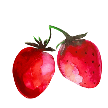 strawberry watercolor illustration png