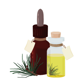 bottle with essential oil of pine, spruce, fir png