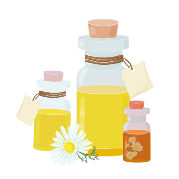 bottle with essential oil and chamomile flower png
