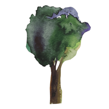 tree with green leaves watercolor illustration png