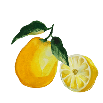 lemon watercolor illustration png