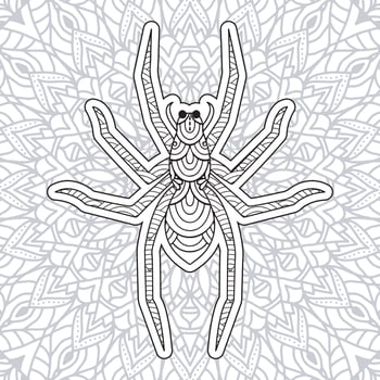 Insect Mandala coloring pages. vector