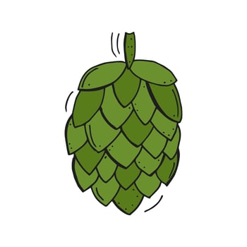 Oktoberfest 2022 - Beer Festival. Hand-drawn Doodle green hops on a white background. German Traditional holiday. vector