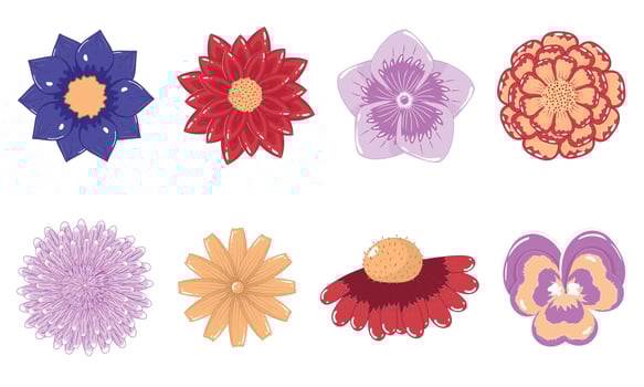 Collection of autumn flower buds in flat style vector