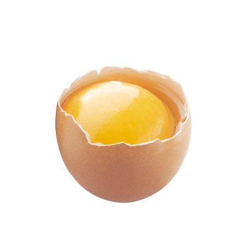 chicken eggs in broken eggshells on transparent background png file