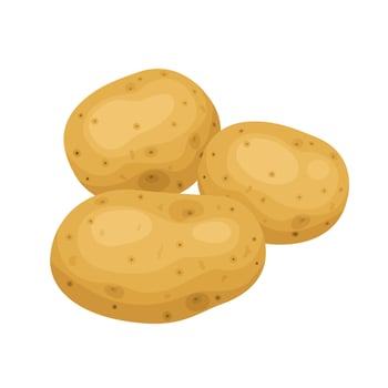 Vector illustration, unpeeled raw potato, isolated on white background.