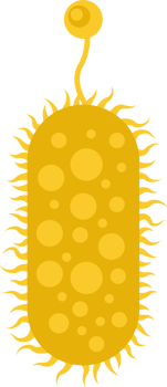 Microscopic microorganism clip art png