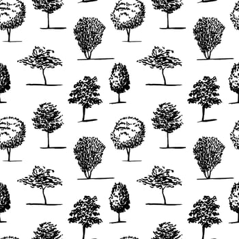 Vector different kinds of trees semless pattern. Tree silhouette hand drawn seamless pattern