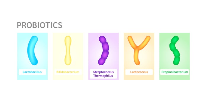 Probiotics lactic acid bacterium in milk, yogurt. Label Bifidobacterium, lactobacillus, streptococcus thermophilus, lactococcus, propionibacterium. Digestion healthcare concept. Vector EPS10.