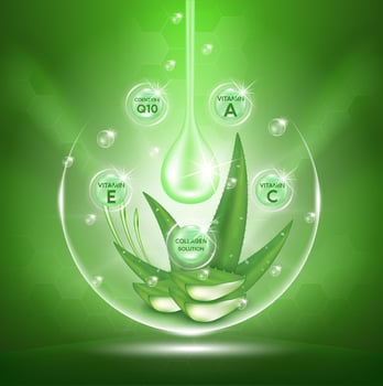 Aloe vera plant with fresh drops and dropper glass bottle. Collagen and vitamin serum. Skin care, Beauty cosmetics product ads poster design. Realistic 3d vector illustration
