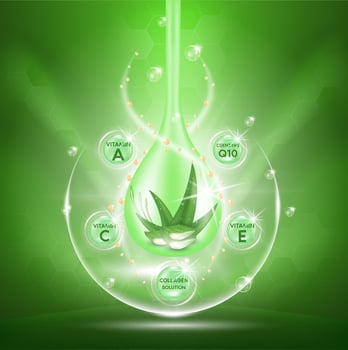 Aloe vera plant with fresh drops and dropper glass bottle. Collagen and vitamin serum. Skin care, Beauty cosmetics product ads poster design. Realistic 3d vector illustration