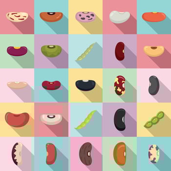Kidney bean icons set, flat style vector