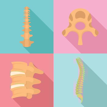 Spine orthopedic vertebra icons set, flat style vector