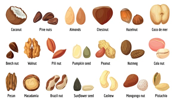 Nut icons set, cartoon style vector