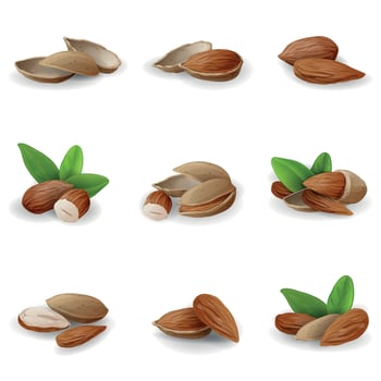 Almond icons set, cartoon style vector