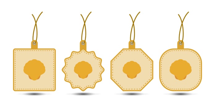 Set of Seashell tags with cord vector