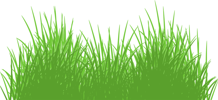 green grass png