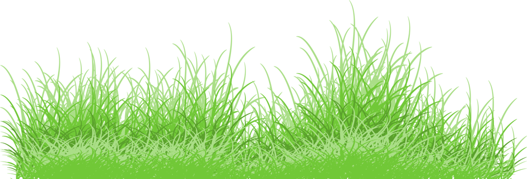 green grass png
