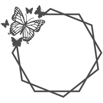 framework box with decorative ornamental elements png