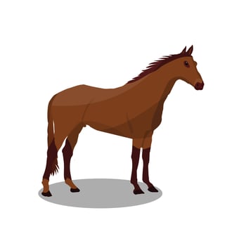Horse cartoon vector illustration on white background, wild animal.