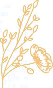 Floral elements, beige. vector