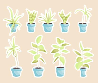 House plants in pots, office flowers cute sticker pack, cartoon tropic leaves. Green icon set of palm tree, philodendron, ficus, sansevieria, succulent. Garden plant vector illustration.
