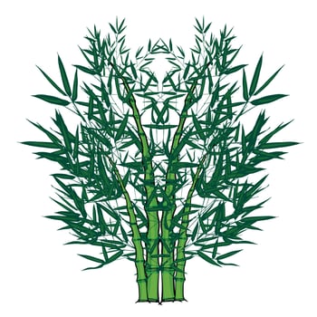 Baboo line art drawing style, the bamboo sketch black linear isolated on white background, the best bamboo drawing line art vector illustration.