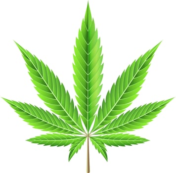 Marijuana leaf illustration vector