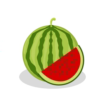 Watermelon fruit illustration. Watermelon fruit icon. Fruits vector