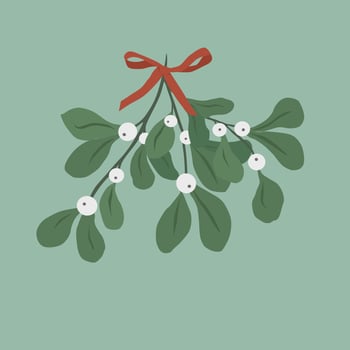 bouquet of mistletoe with leaves and berries, tied with a bow vector