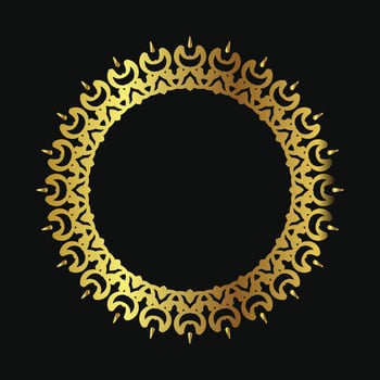 round ornament with luxury color isolated on black background vector