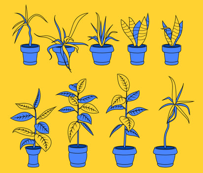 House plants in pots, office flowers, cartoon tropic leaves. Blue yellow trendy icon set of palm tree, philodendron, ficus, sansevieria, succulent. Garden plant vector modern web banner illustration.