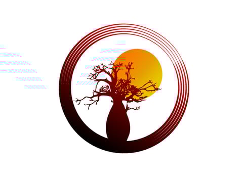 Boab or Baobab Tree Vector isolated, tree silhouette circle logo concept icon, illustration sign isolated on sunset  background