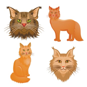 Maine coon icons set, cartoon style vector