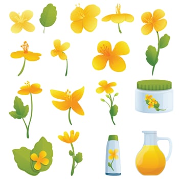 Celandine icons set, cartoon style vector