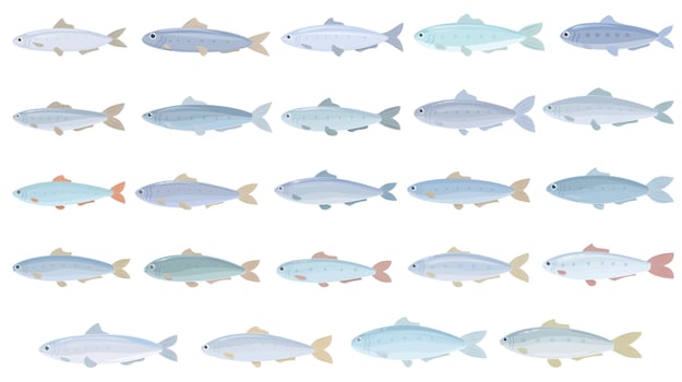 Sardine icons set cartoon vector. Can fish vector