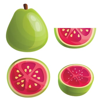 Guava icons set, cartoon style vector