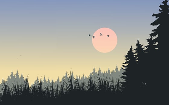 Sunset silhouette. Vector landscape illustration
