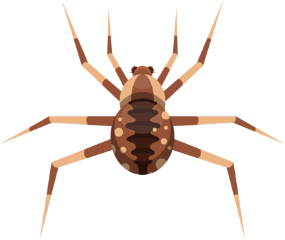 Spider clipart design illustration png