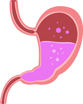 Stomach clipart design illustration png