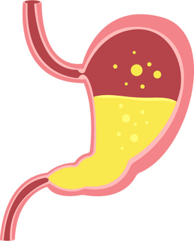 Stomach clipart design illustration png