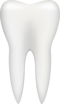 Tooth vector clipart design illustration png