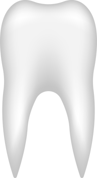 Tooth vector clipart design illustration png