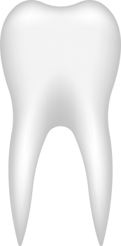 Tooth vector clipart design illustration png