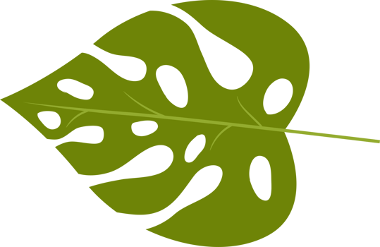 Tropical leaves clipart design illustration png