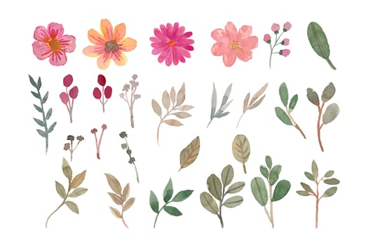 Watercolor flowers isolated element for wedding invitation decoration vector