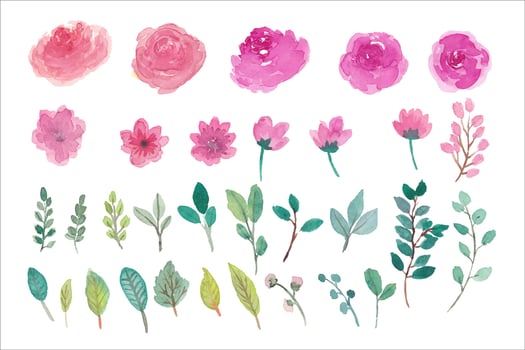 Watercolor flowers isolated element for wedding invitation decoration vector