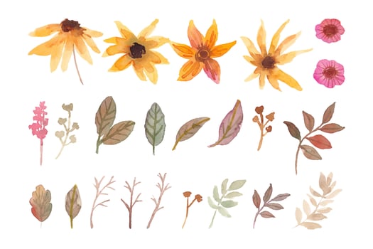 Watercolor flowers isolated element for wedding invitation decoration vector